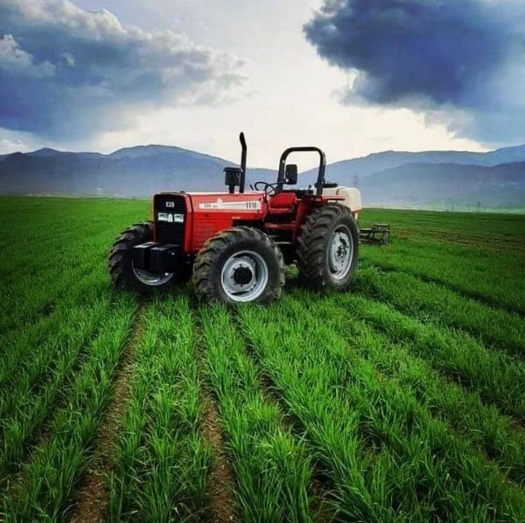 بهترین مواد اولیه